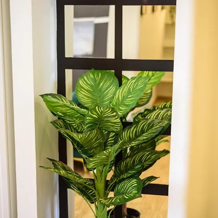 Apartman Luxury In Nápoly